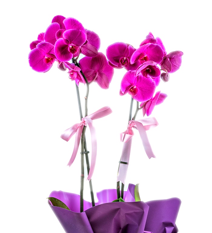 Bazaart_76DAA2A2-96CC-405B-8554-1B2B77BF2A64.jpeg