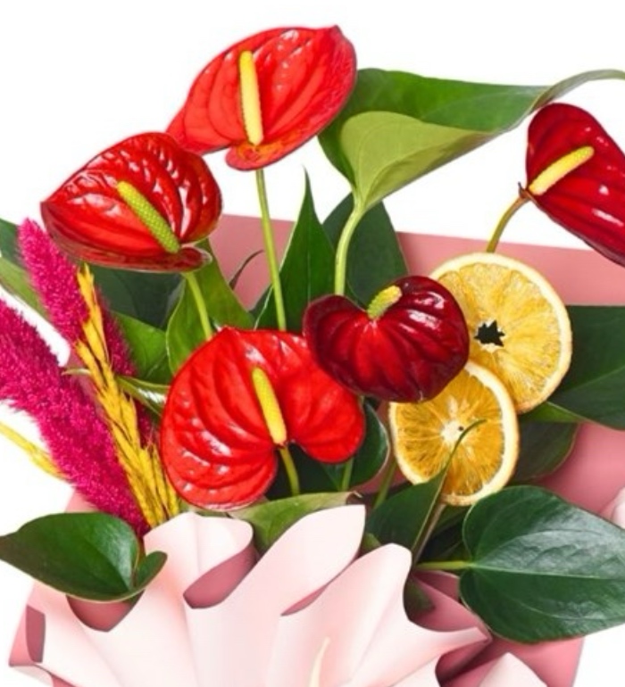 Bazaart_CD53893A-48AC-4628-8362-7C441D6D0217.jpeg