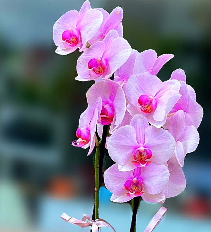 Bazaart_CE91B6A7-89AC-4B73-85E0-DCE8E1EC4938.jpeg