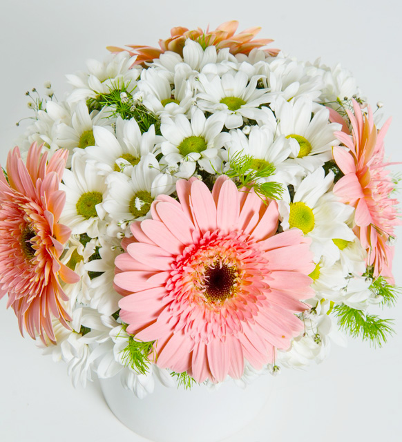 pembe-beyaz-gerbera-ve-papatyalar_2_12052024.jpg