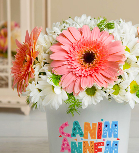 pembe-beyaz-gerbera-ve-papatyalar_3_12052024.jpg