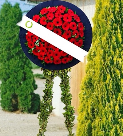 Bazaart_0C9D33B0-1B66-4162-9317-853C3FA12898.jpeg